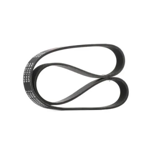 Volkswagen Bora/Golf V-Ribbed Belt (6PK1548)