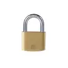 Yale Padlock 50mm Boron With Brass Polished