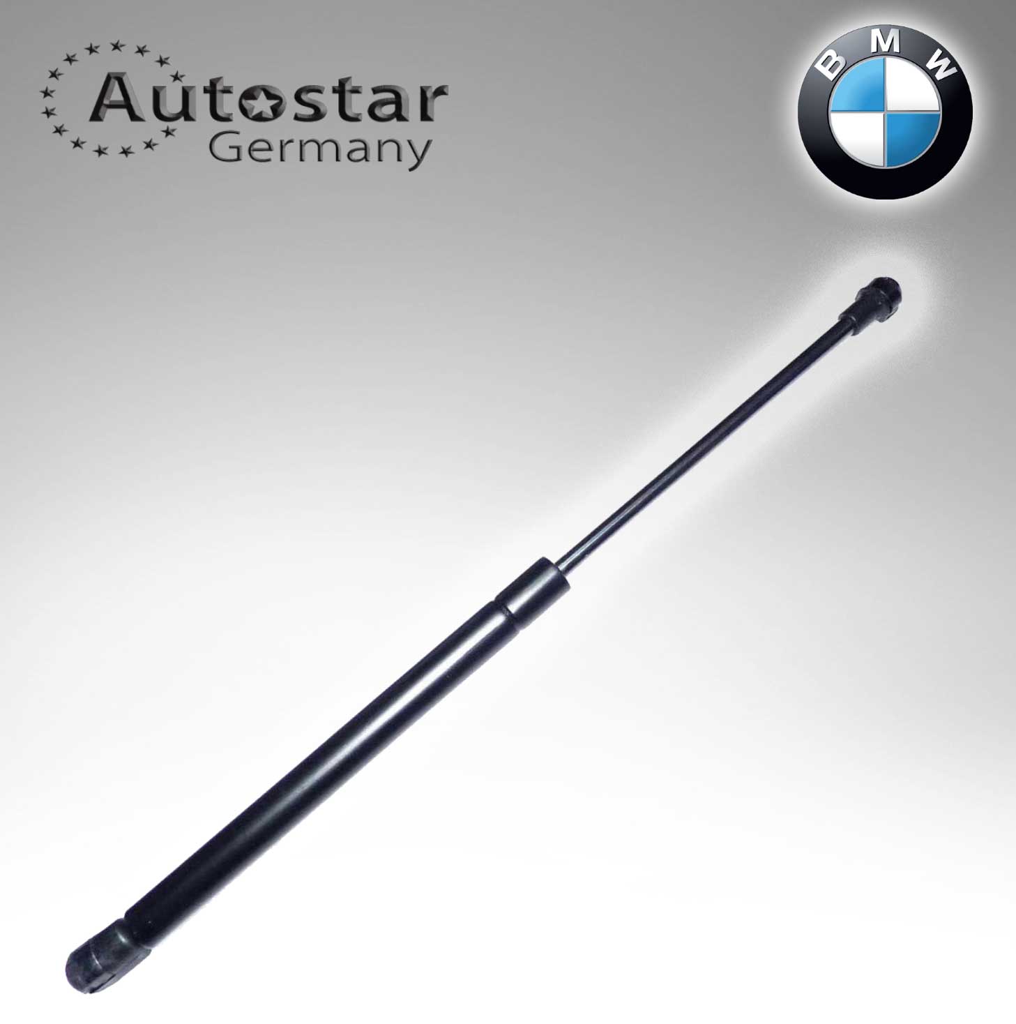 BMW BONNET SHOCK 51237129190