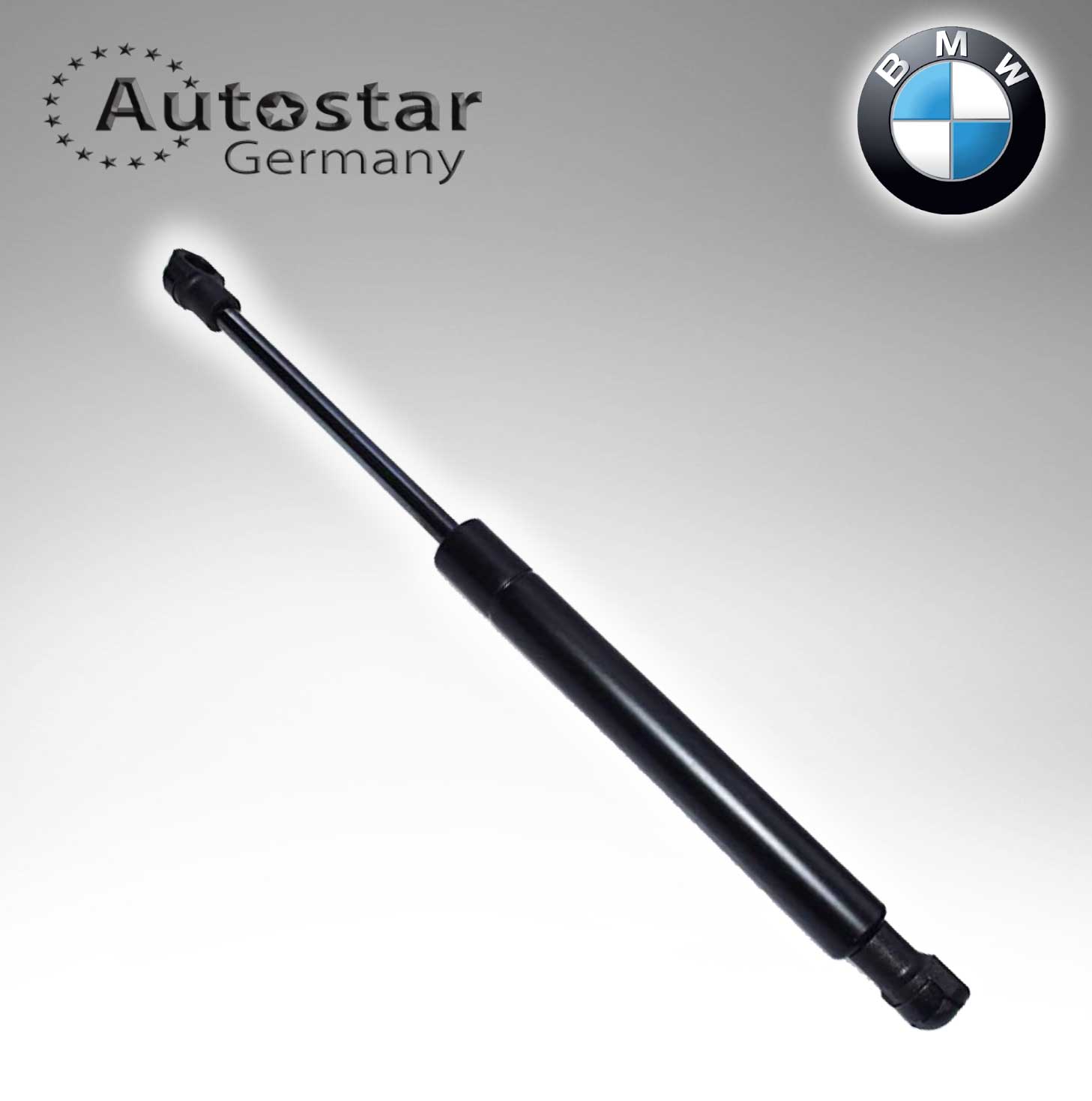 BMW BONET SHOCK X5/ E53 51238402551