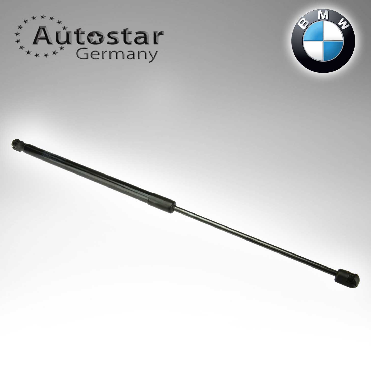 BMW DICKY SHOCK E84/ X1 51242990136