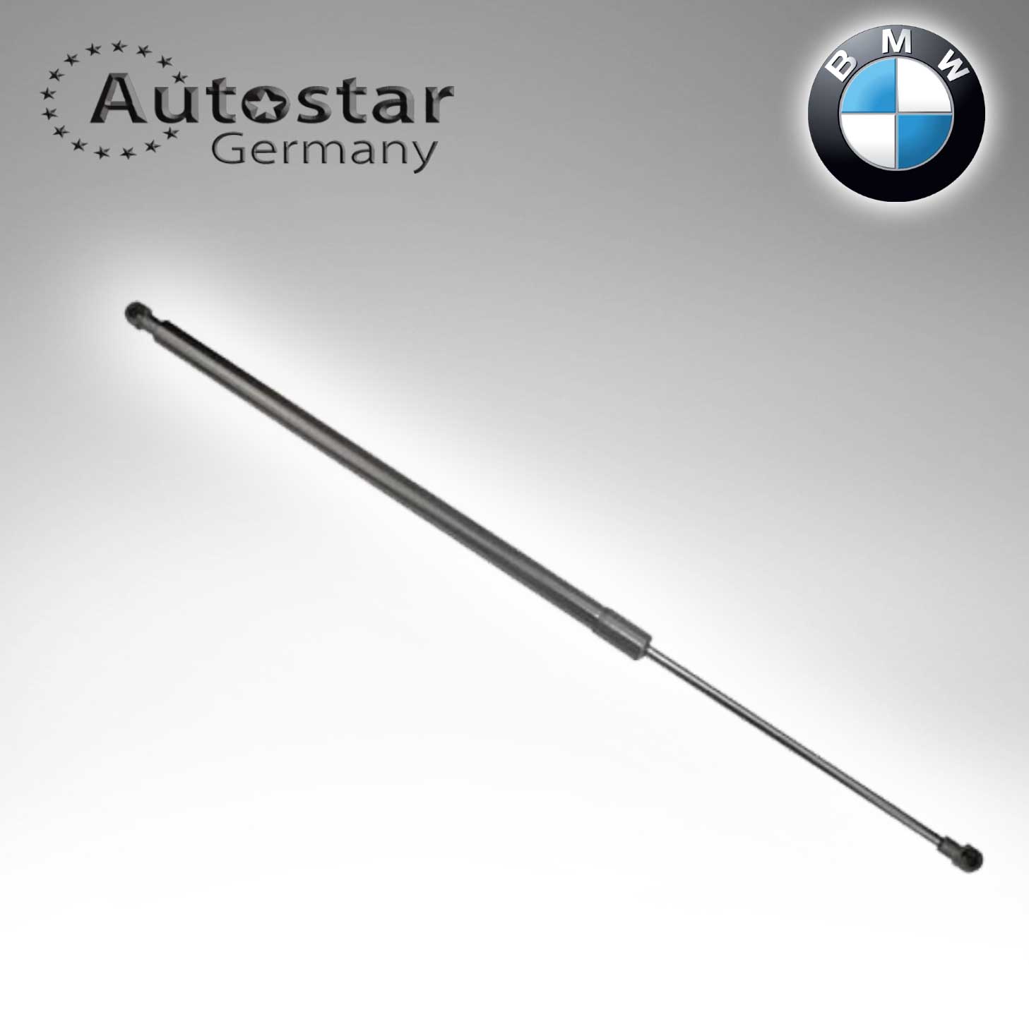 BMW DICKY SHOCK E83/ X3 51243400379