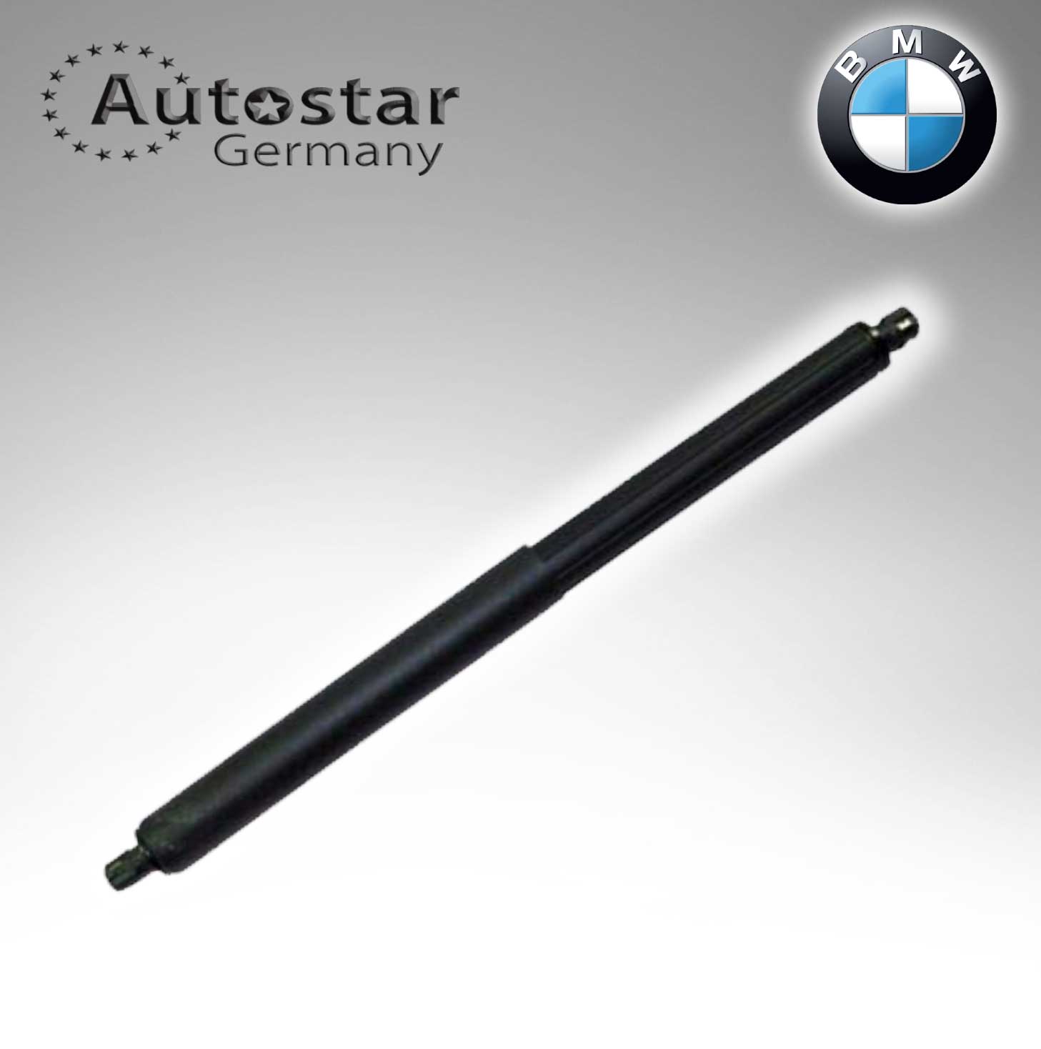 BMW DICKY SHOCK 51247177283