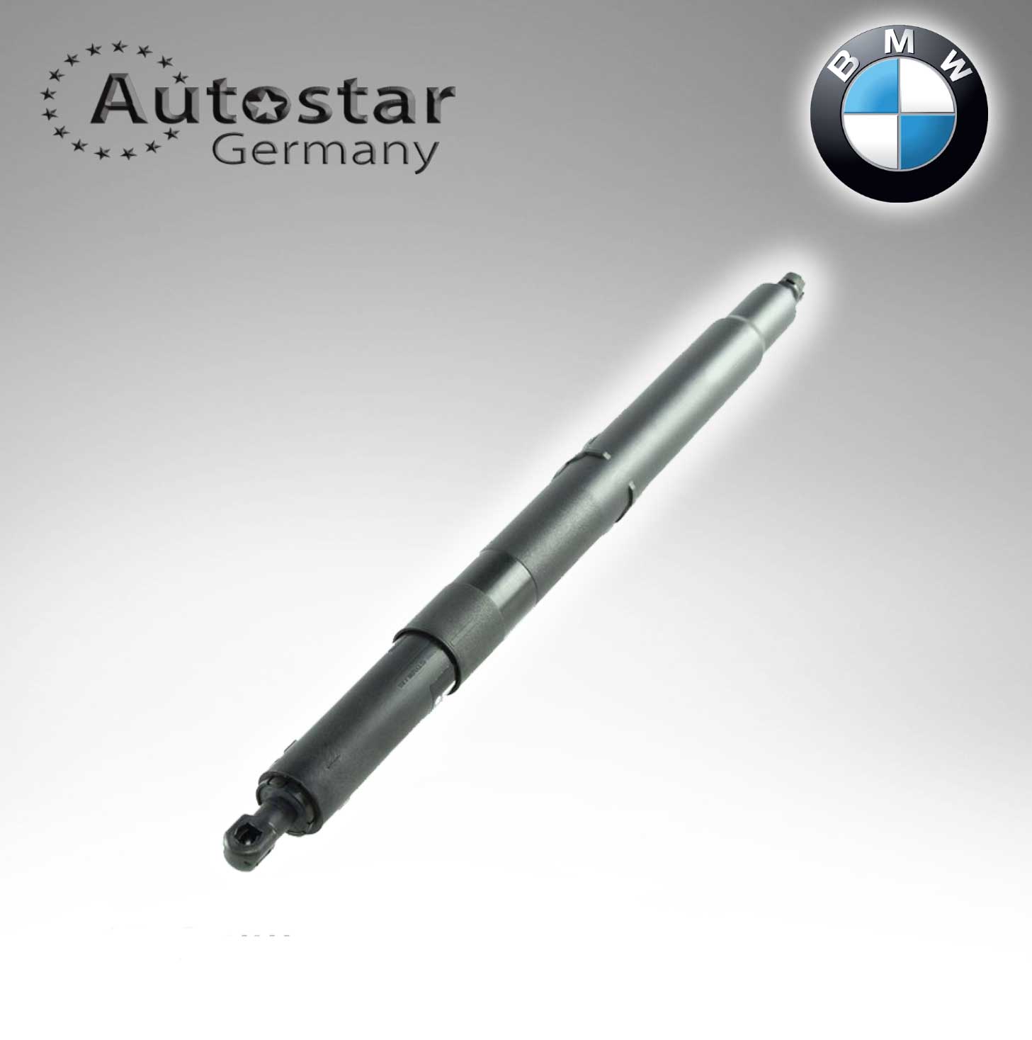 BMW DICKY SHOCK 51247201939