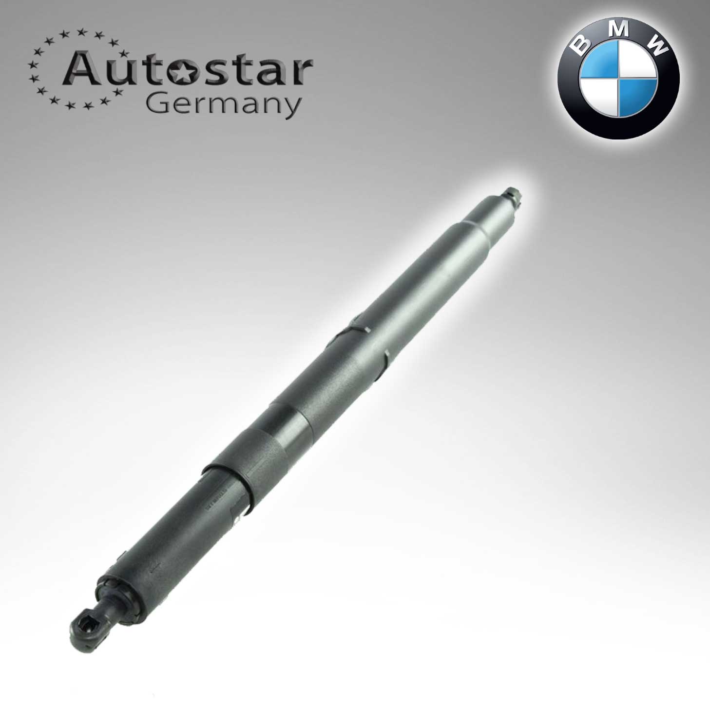 BMW DICKY SHOCK 51247201940