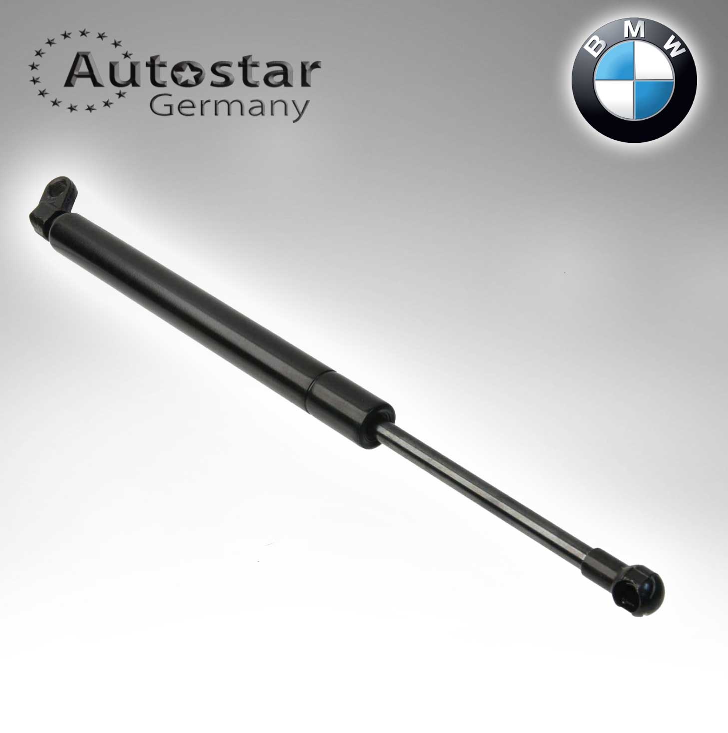 BMW DICKY SHOCK  E38 51248171480