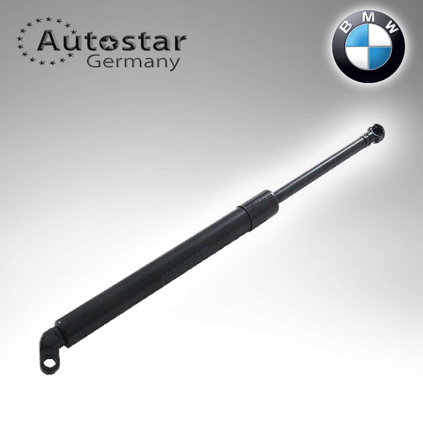 BMW DICKY SHOCK E39 51248222913