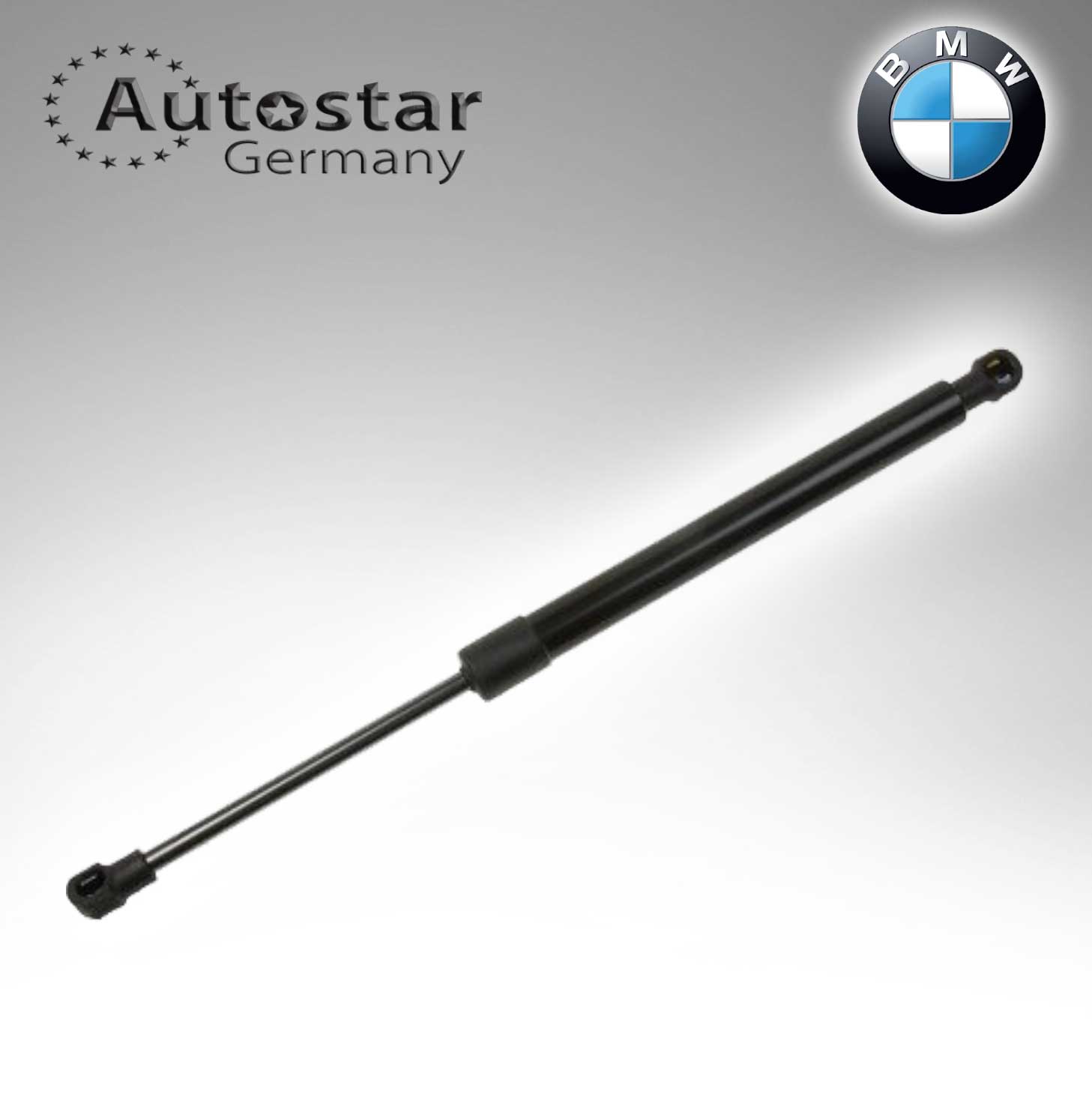 BMW DICKY SHOCK E46 51248254281