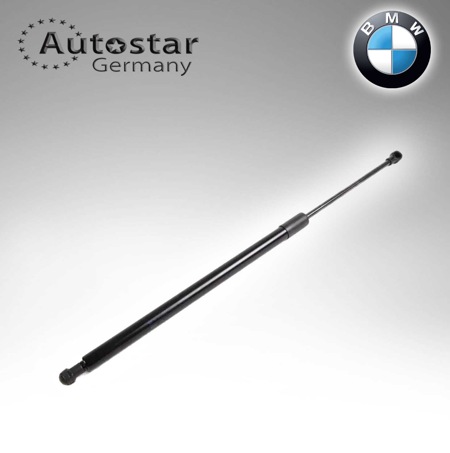 BMW DICKY SHOCK E53/ X5 51248402405