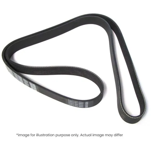 VW / Ford Fan Belt 6PK1770