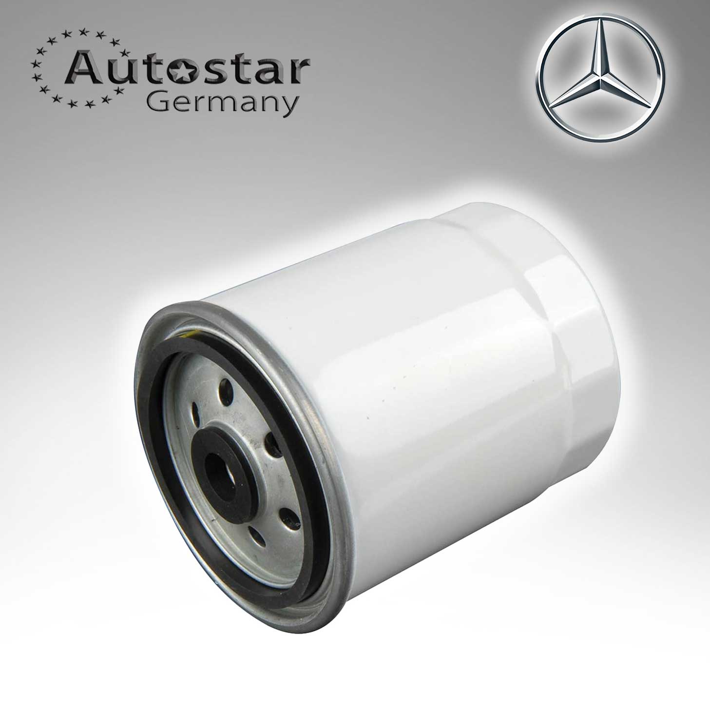 Mercedes Benz FUEL FILTER (50) 6010900352