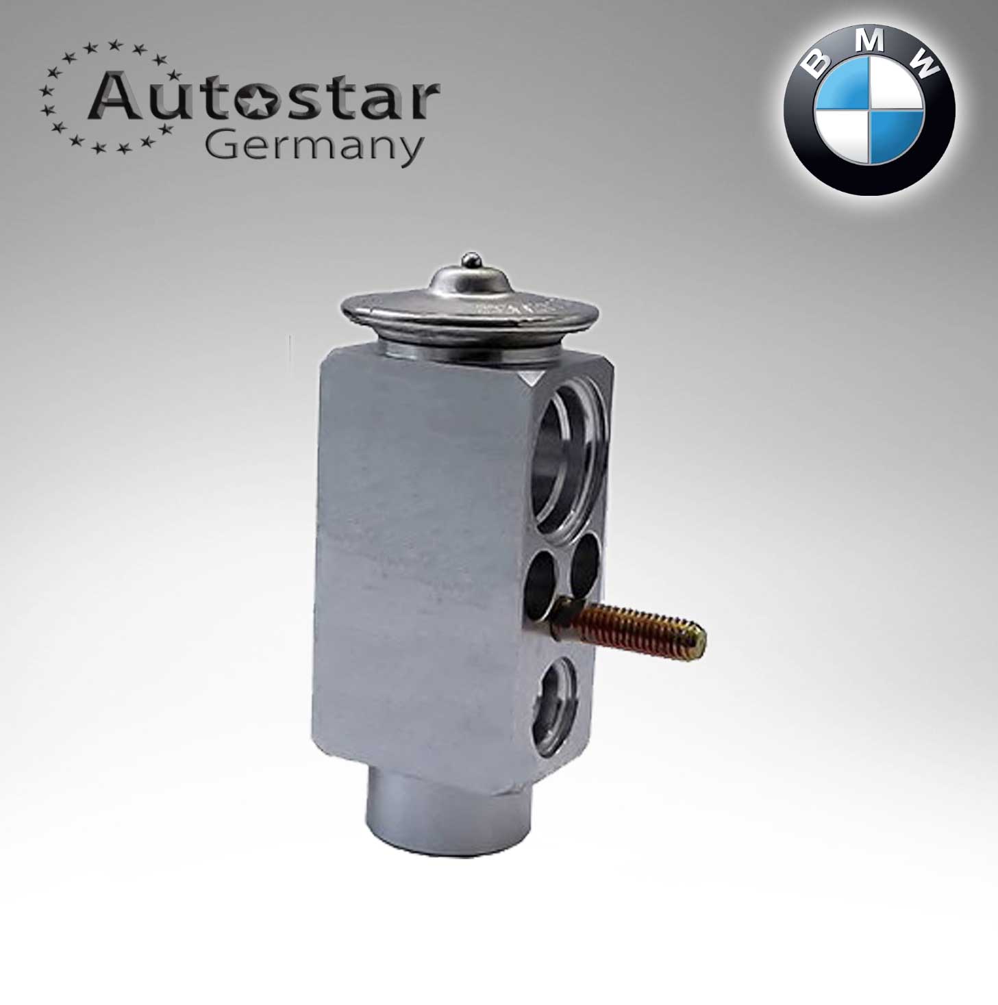 BMW EXPANSION VALVE  E65/ E66 64106906268