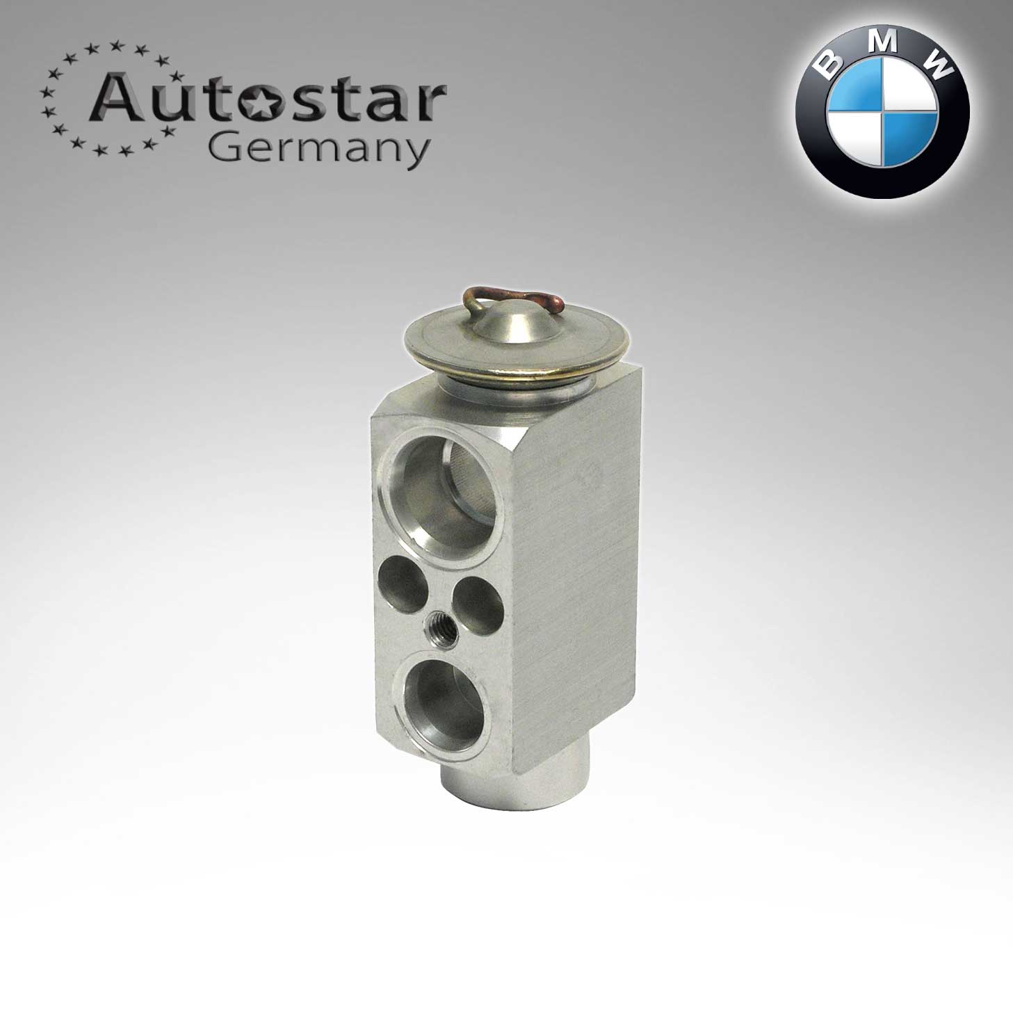 BMW EXPANSION VALVE E70 E71 E72 MINI 64116968202