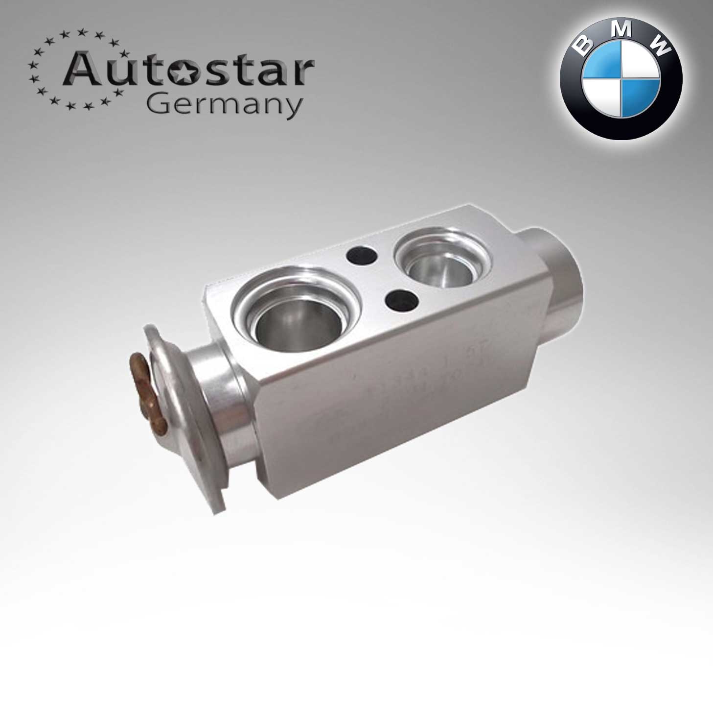 BMW EXPANSION VALVE E31 / E32 / E34 / E36 / E38 / E39 / X5 (3 64118362851