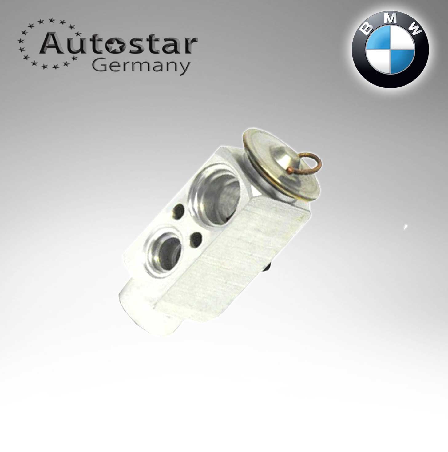 BMW EXPANSION VALVE  E31 / E32 / E34 / E36 / E38 / E39 64118371459