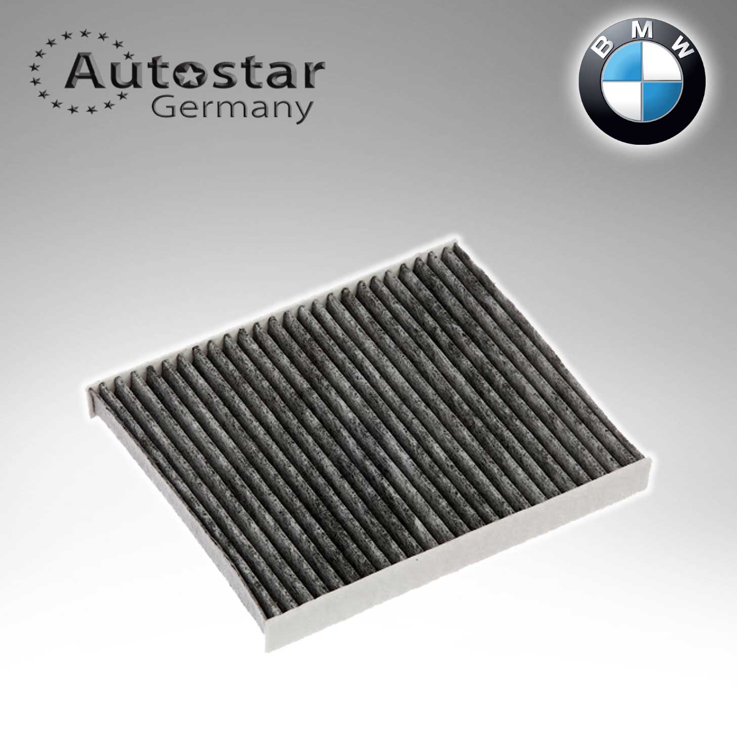 BMW AIR FILTER (1 PCS ) E70. E71. F15. F16 64319194098