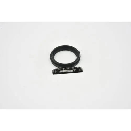 FORD MAVERICK TM1 2001-2006 [EU] Seal ring, spark plug tube