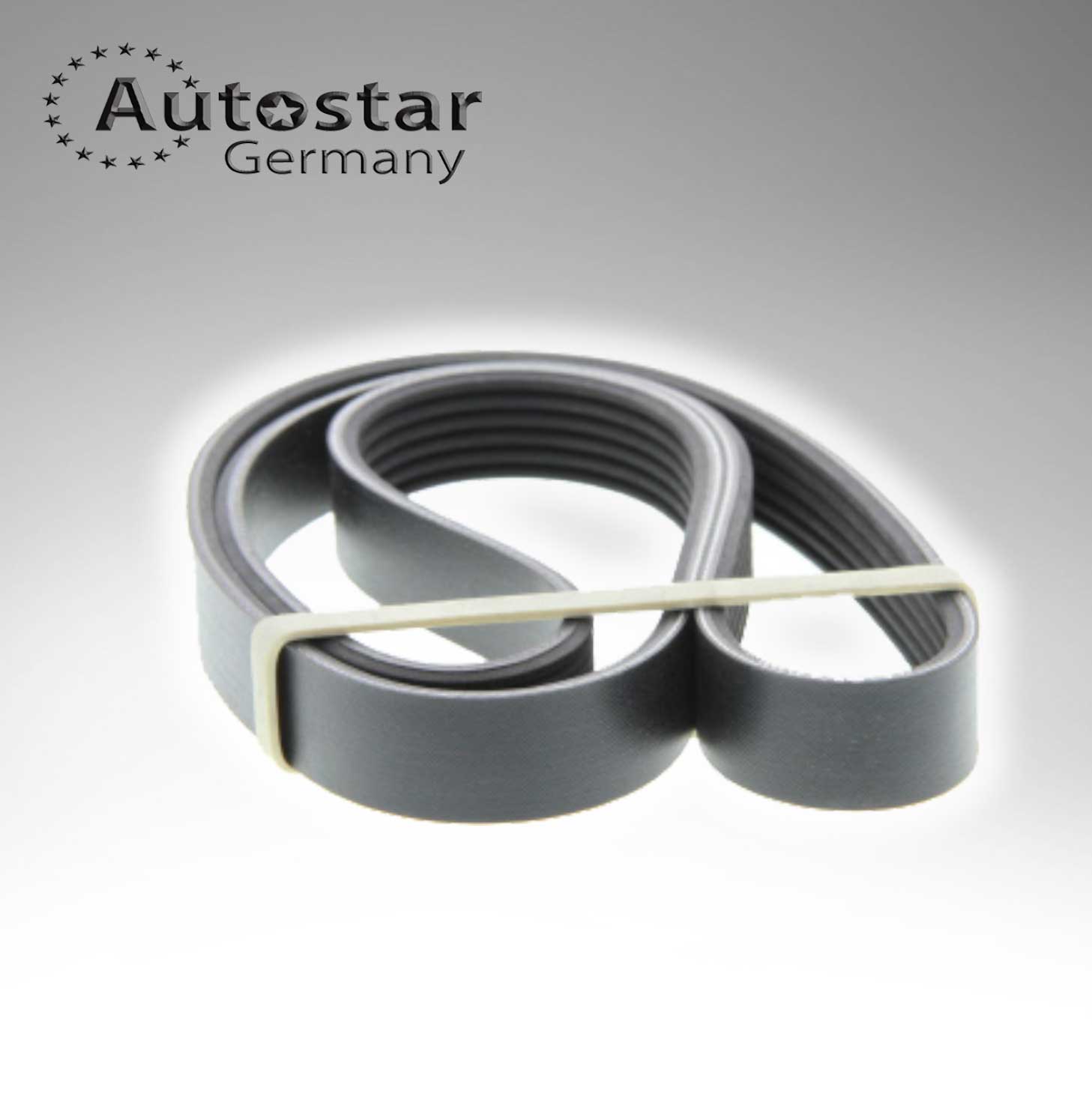 Autostar Germany BELT Volkswagen Polo, Caddy LAND ROVER Freelander I Off-Road Convertible (L314) 6PK1185
