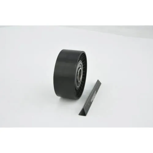 Hyundai IX55 07 Tension Pulley