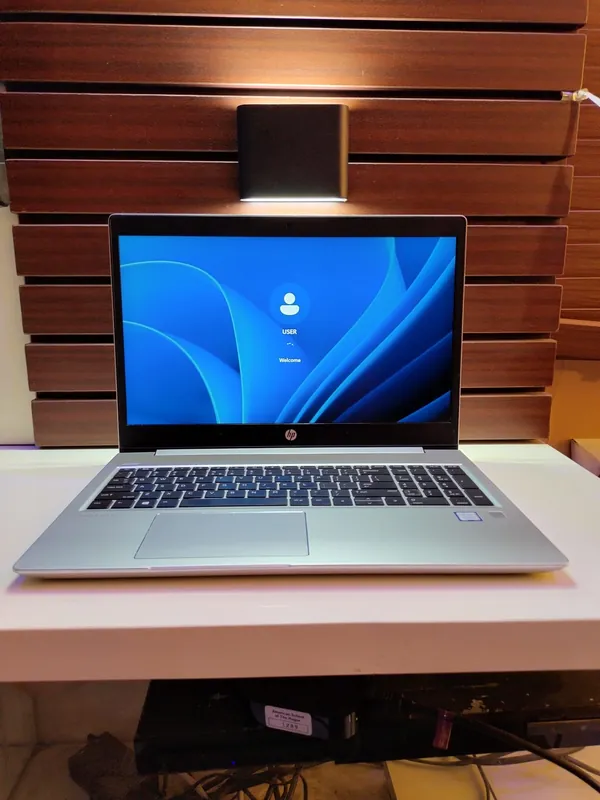 HP ProBook 450 G6 Core i5 8th Gen 256GB SSD 8GB Ram Finger Print FaceID