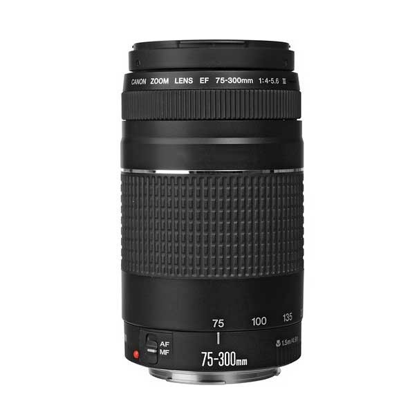Canon EF 75-300mm f/4-5.6 III Lens