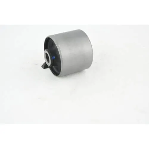 KIA Sorento 02 Rear Trailing Arm Bushing