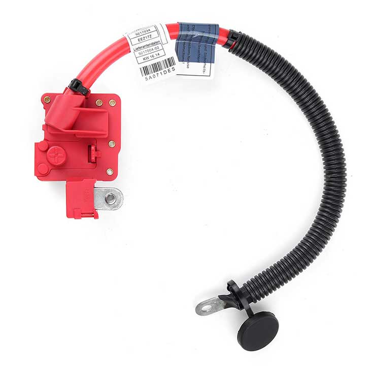 Autostar Germany BATTERY CABLE 61129217004