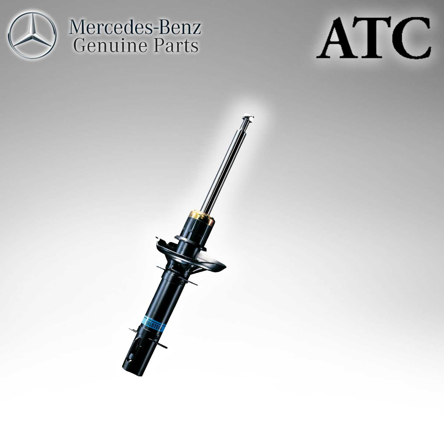 Mercedes Benz Genuine ATC Front Shock Absorber (Original Parts Without Sticker Level and Neutral Box) 2533200330