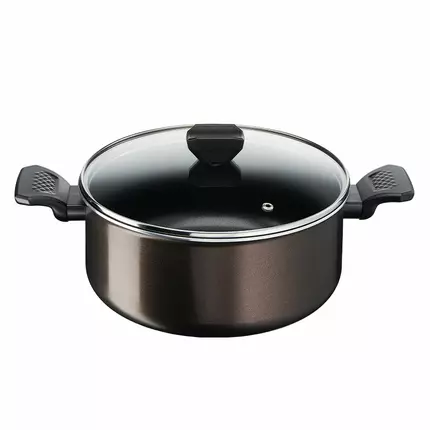 Tefal Easy Cook Stewpot 24 CM Titanium Non Stock Cooking Pot 4.7 L with Lid Suitable for All Heat Sources Except Induction B5544602