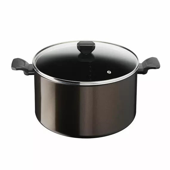 Tefal Easy Cook Stockpot 30 CM Titanium Non Stock Cooking Pot 4.7 L with Lid Suitable for All Heat Sources Except Induction B5546902