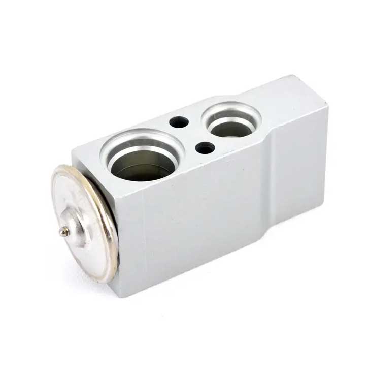 MAHLE BEHR Premium Line (BHR # AVE 25 000P) EXPANSION VALE (8UW 351 200-511) For BMW 64119159803