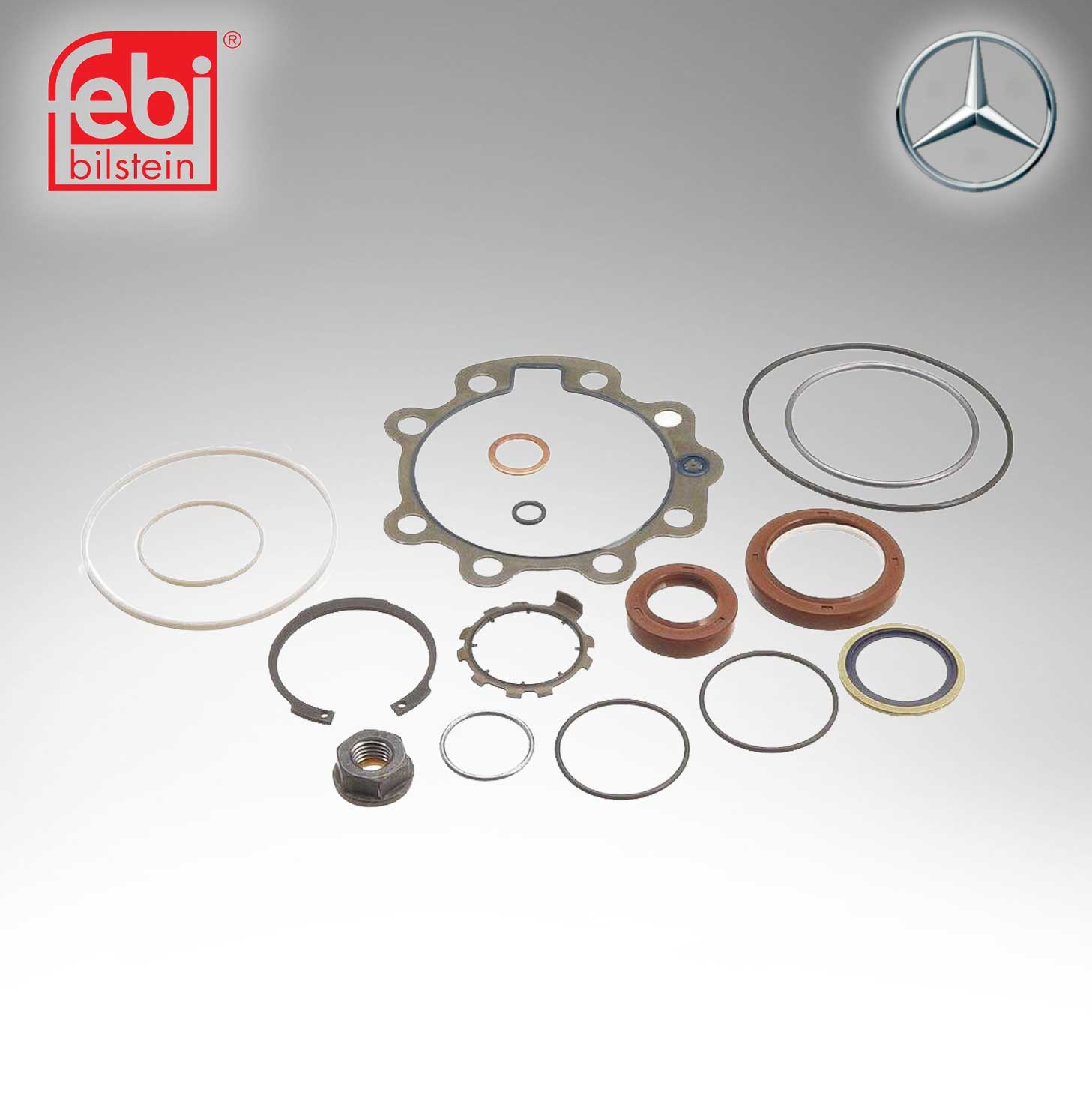 Febi POWER STEARING PUMP KIT (FEBI # 14223) For Mercedes Benz  1404602901
