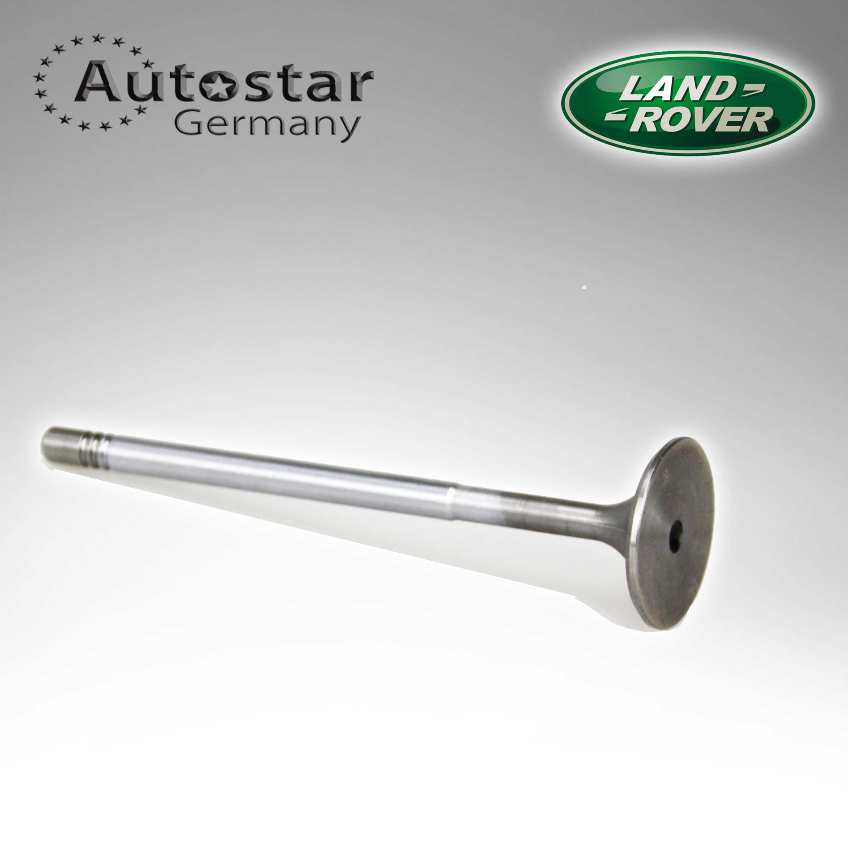 Land Rover EXHAUST VALVE LR4 5.0L V8 PETROL LR010698