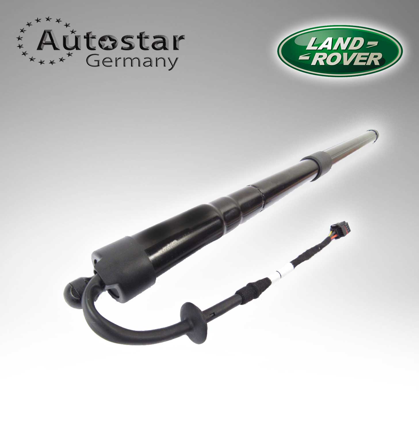 LAND ROVER STRUT TAILGATE LR062078