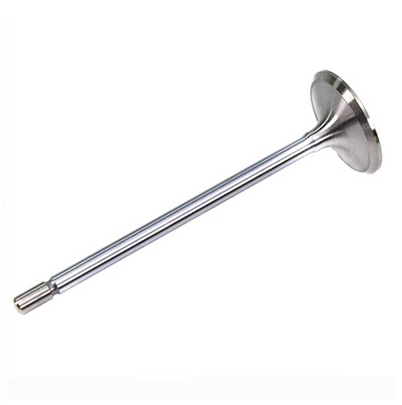 Autostar Germany INTAKE VALVE For RANGE ROVER LR091764