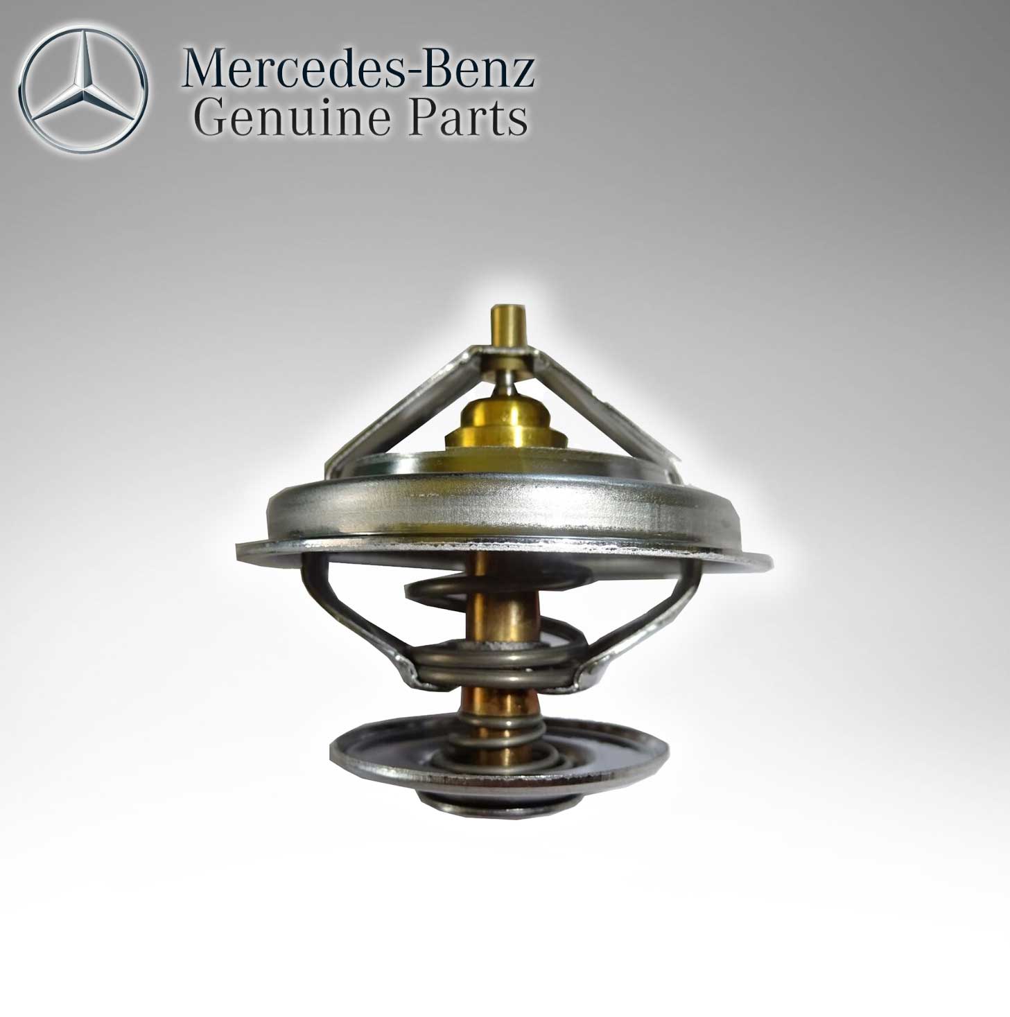 Mercedes Benz Genuine Thermostat 0042038475