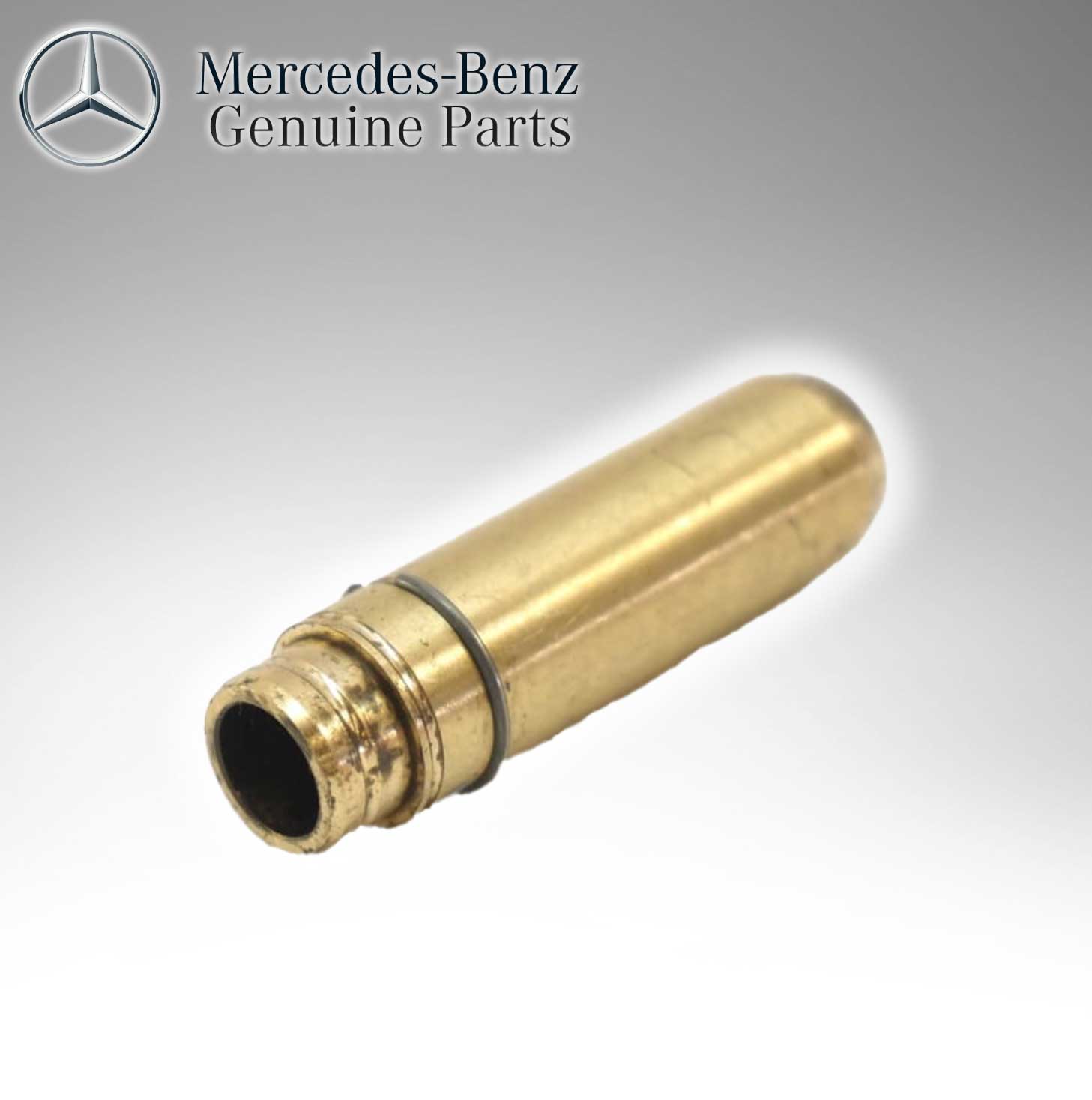 Mercedes Benz Genuine Engne Valve 1020500562