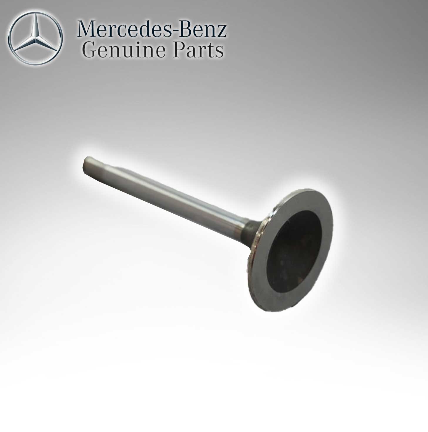 Mercedes Benz Genuine Intake Valve 1110532101