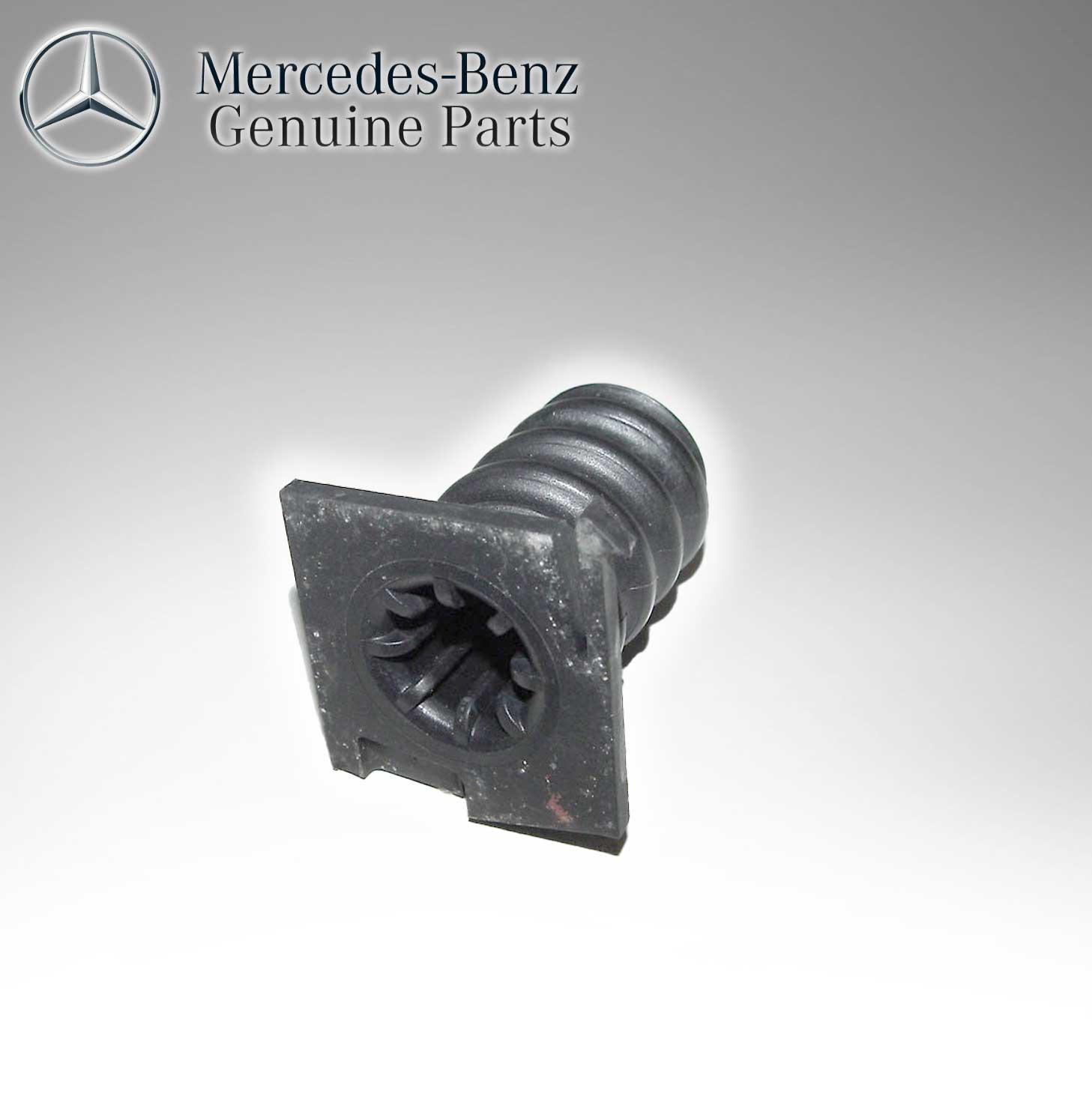 Mercedes Benz Genuine Spare Wheel Screw Holder 1248980165