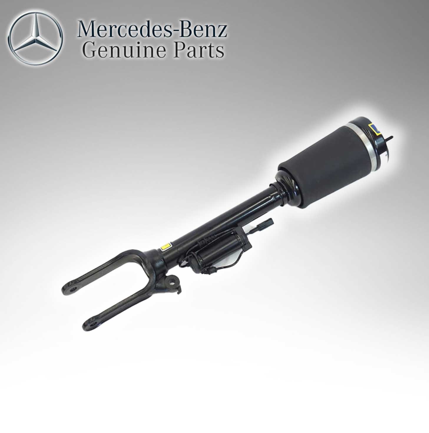 Mercedes Benz Genuine Hydropneumatic Front Air Suspension Shock Strut  1643205213