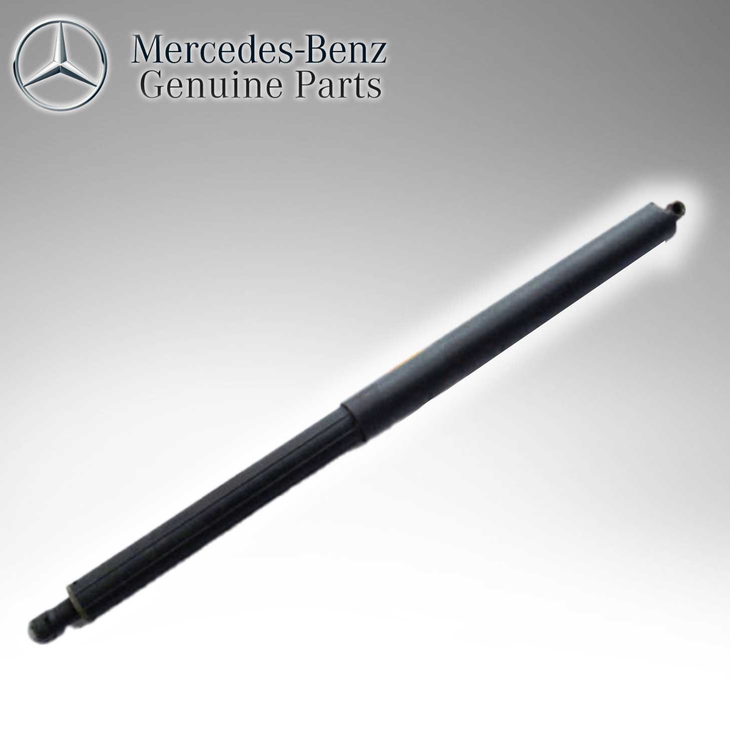 Mercedes Benz Genuine Dicky Shock 1647400345