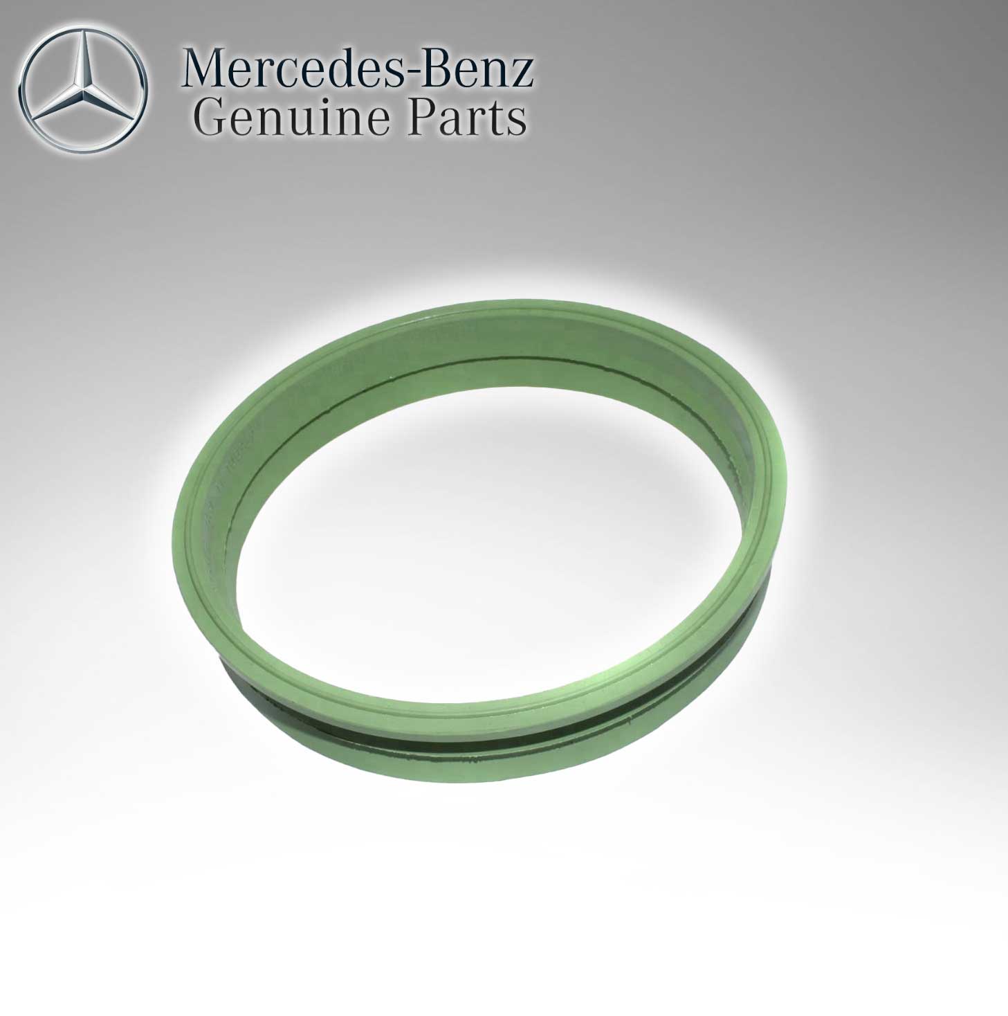 Mercedes Benz Genuine Fuel Pump Seal-W203 W209 W211 W219 2114710579
