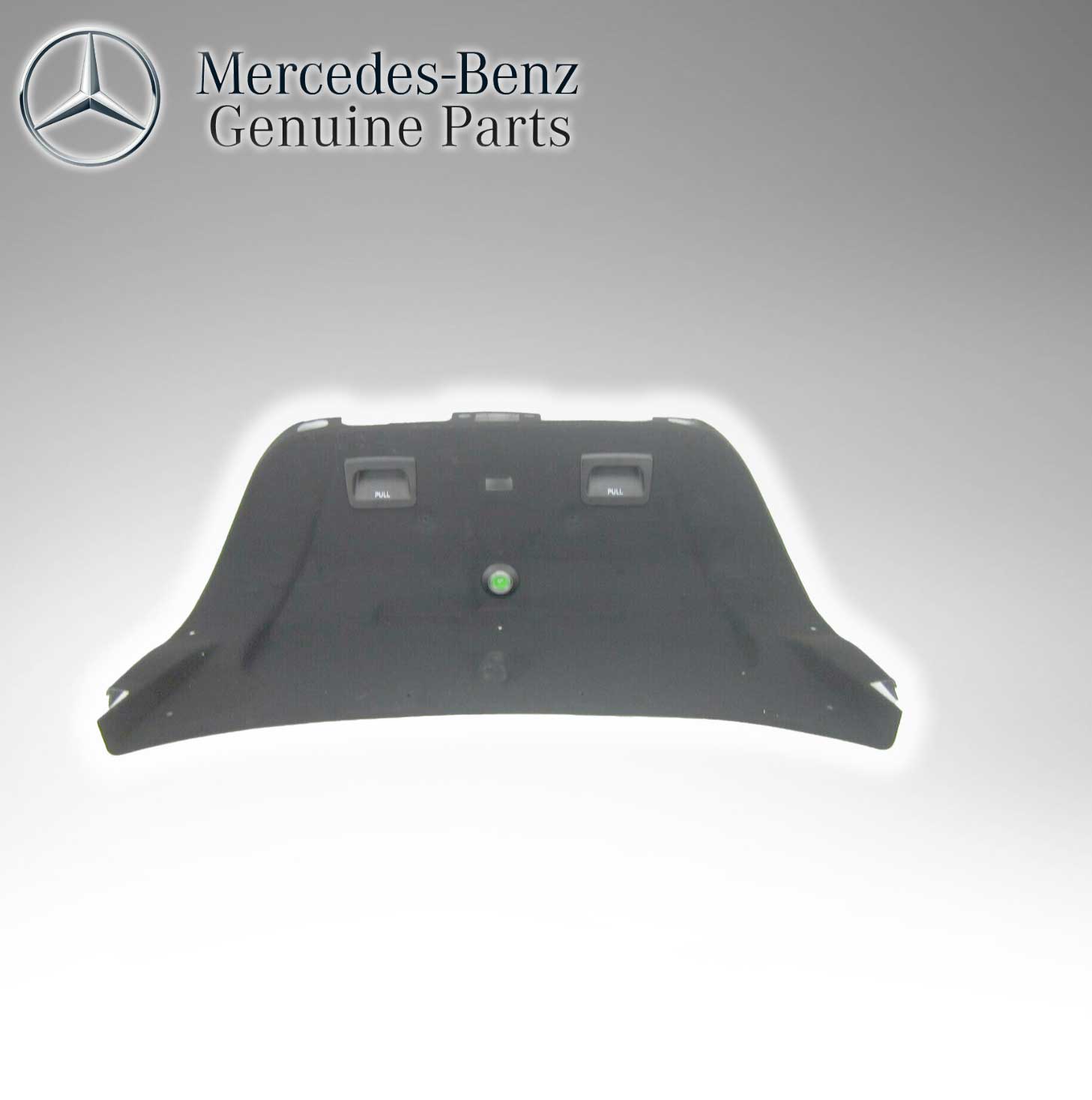 Mercedes Benz Genuine Rear Trunk Lid Panel Liner 21169019419F08