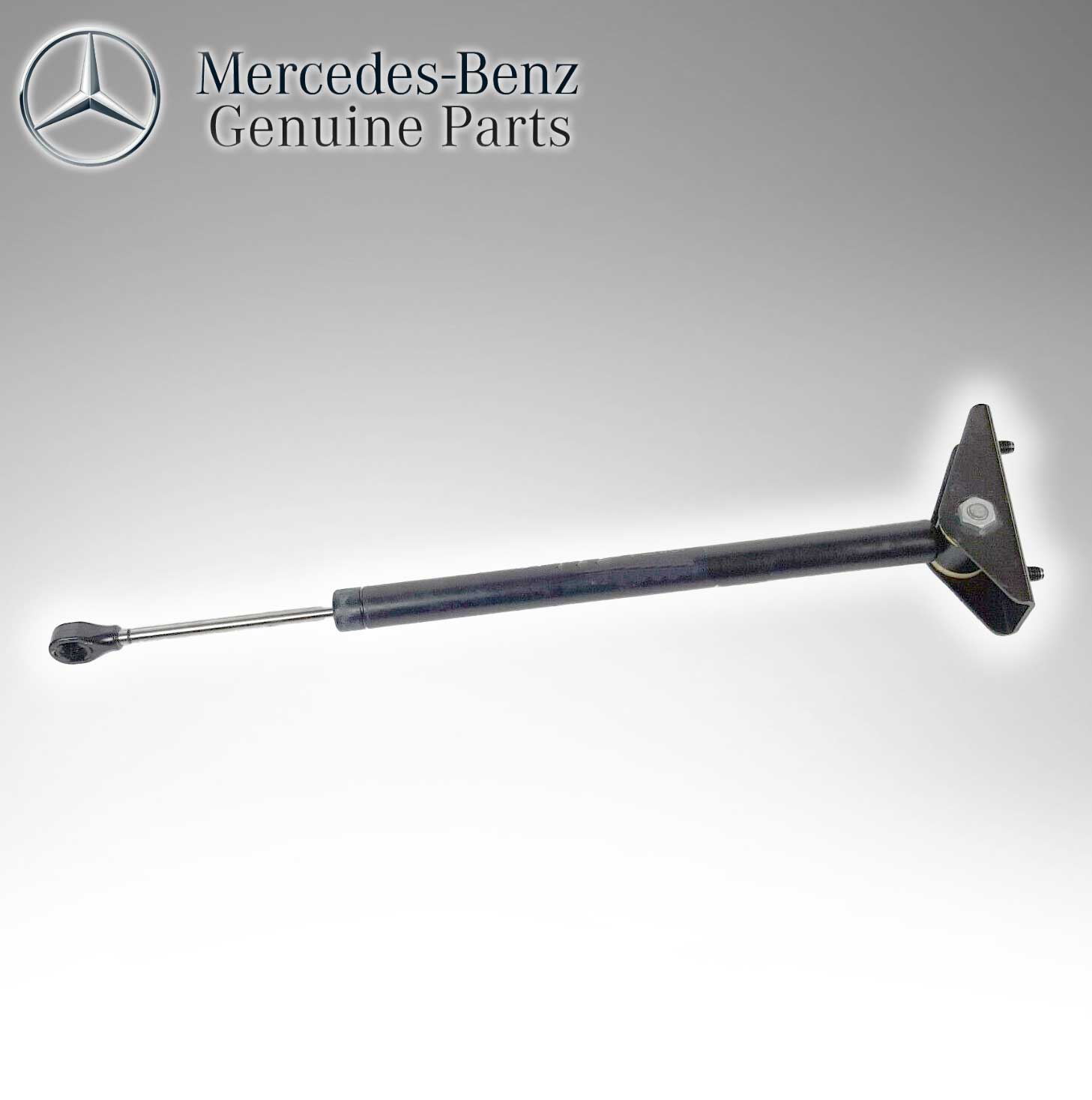 Mercedes Benz Genuine Door Check 2167200216