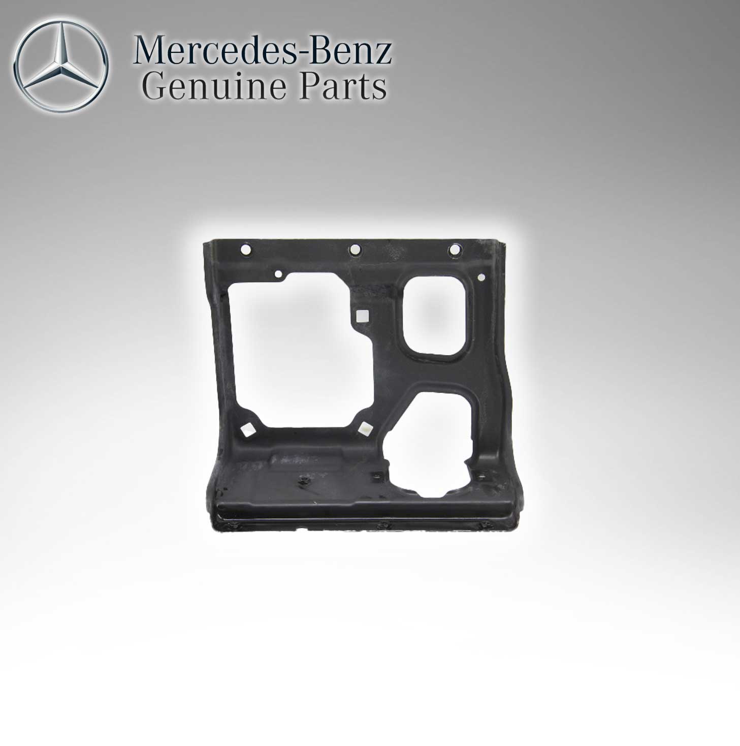 Mercedes Benz Genuine Reinforcement 2196201016