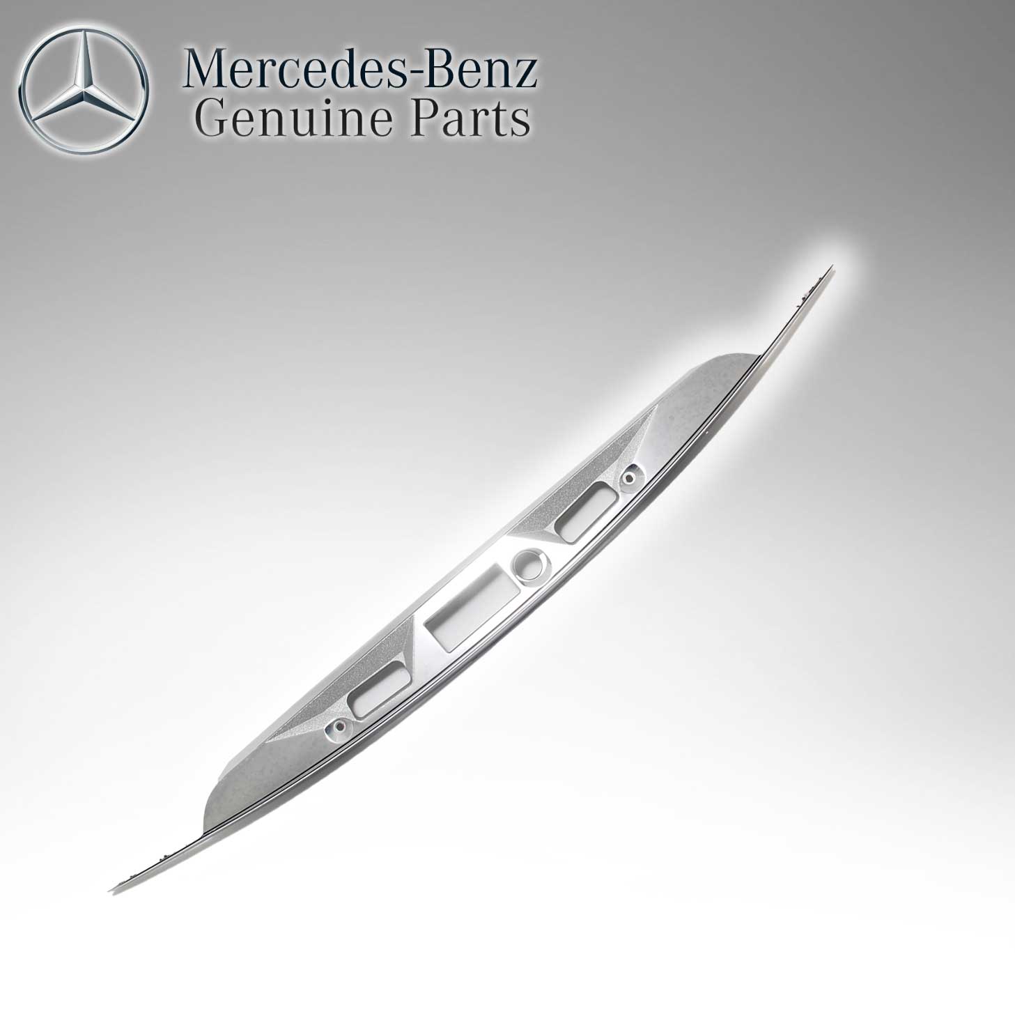 Mercedes Benz Genuine Rear Trim Molding Handle Finish 2197580002