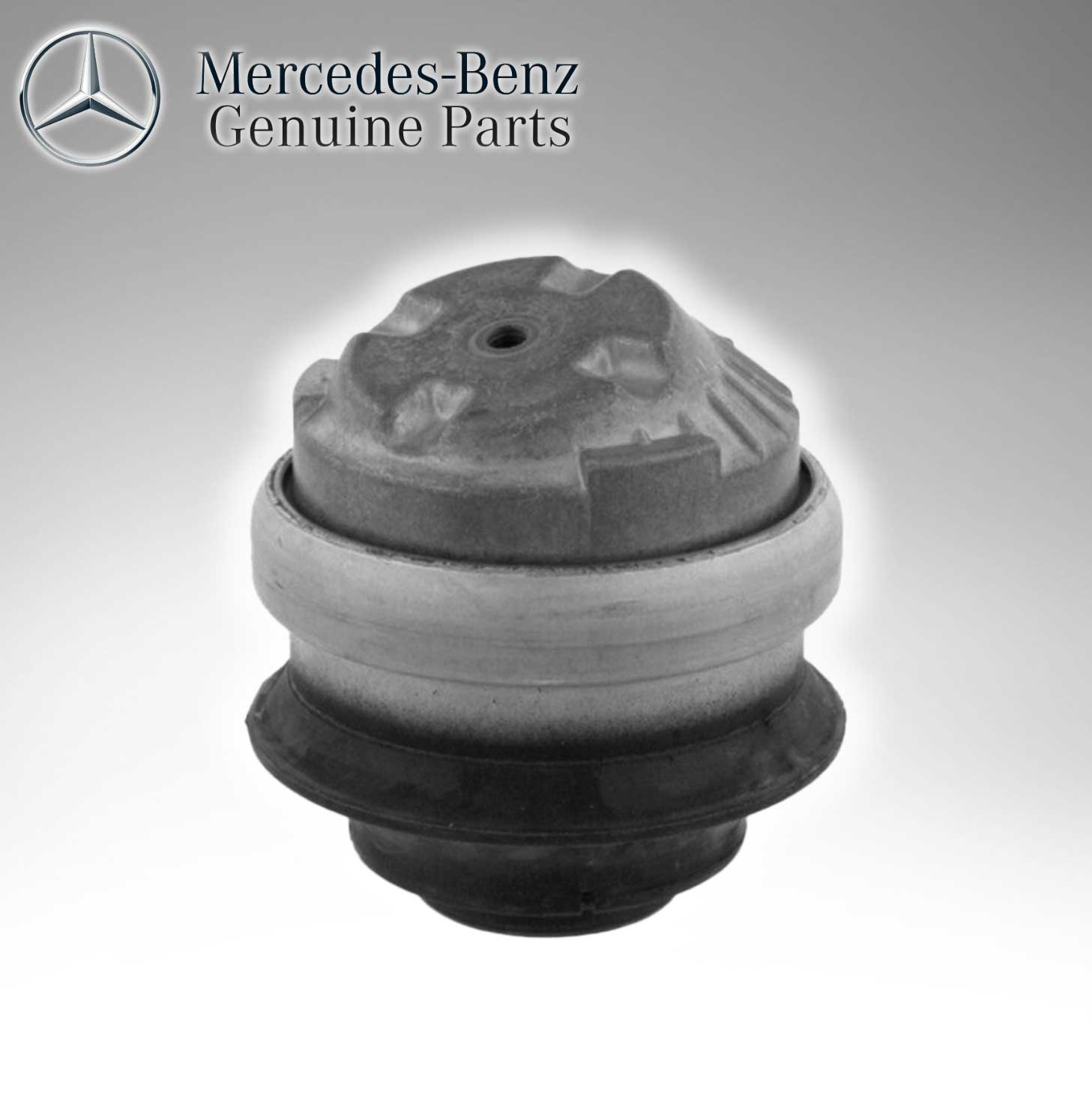 Mercedes Benz Genuine Enging Mounting 2202400717