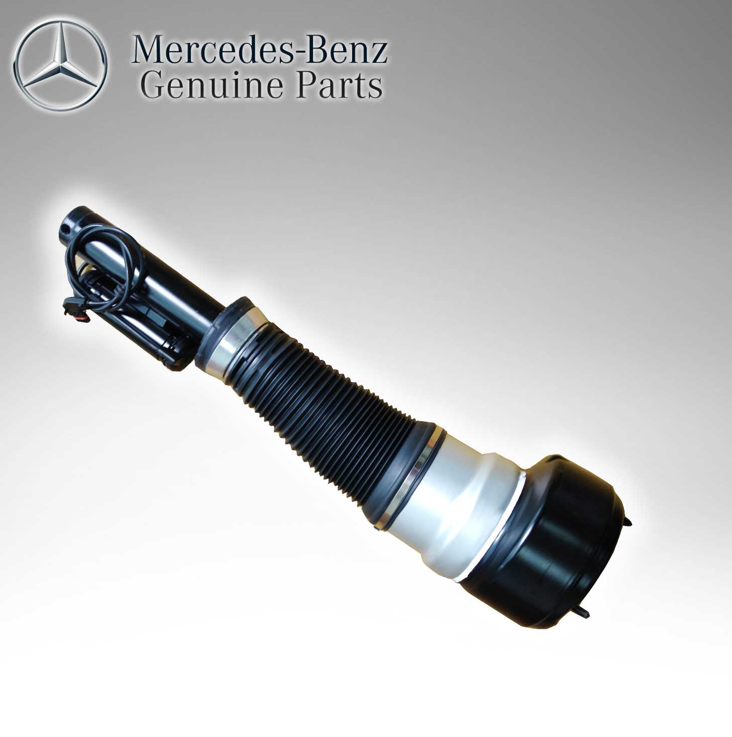 Mercedes Benz Genuine Hydropneumatic Hydraulic Abc Air Shock Absorber Strut 2203204913
