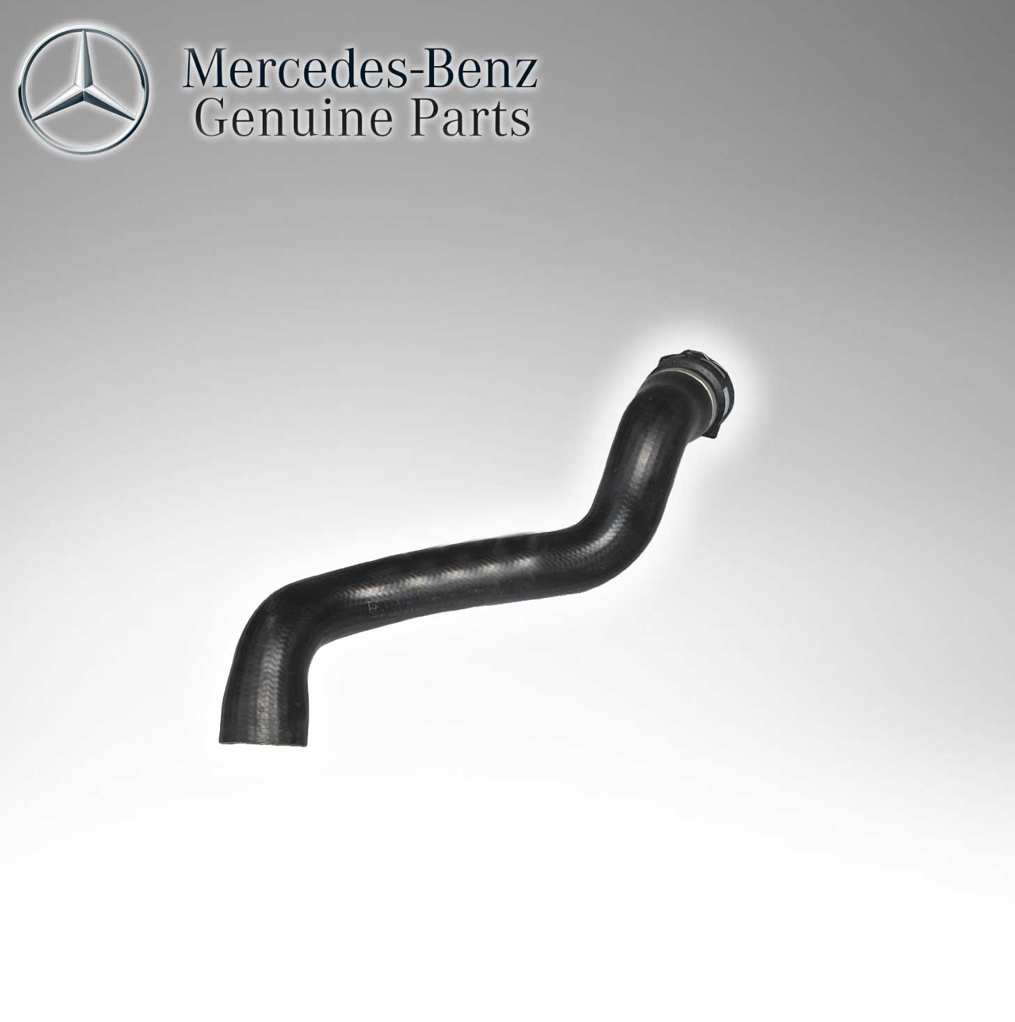Mercedes Benz Genuine Bottom Coolant Hose Pipe Pipeline 2205010382