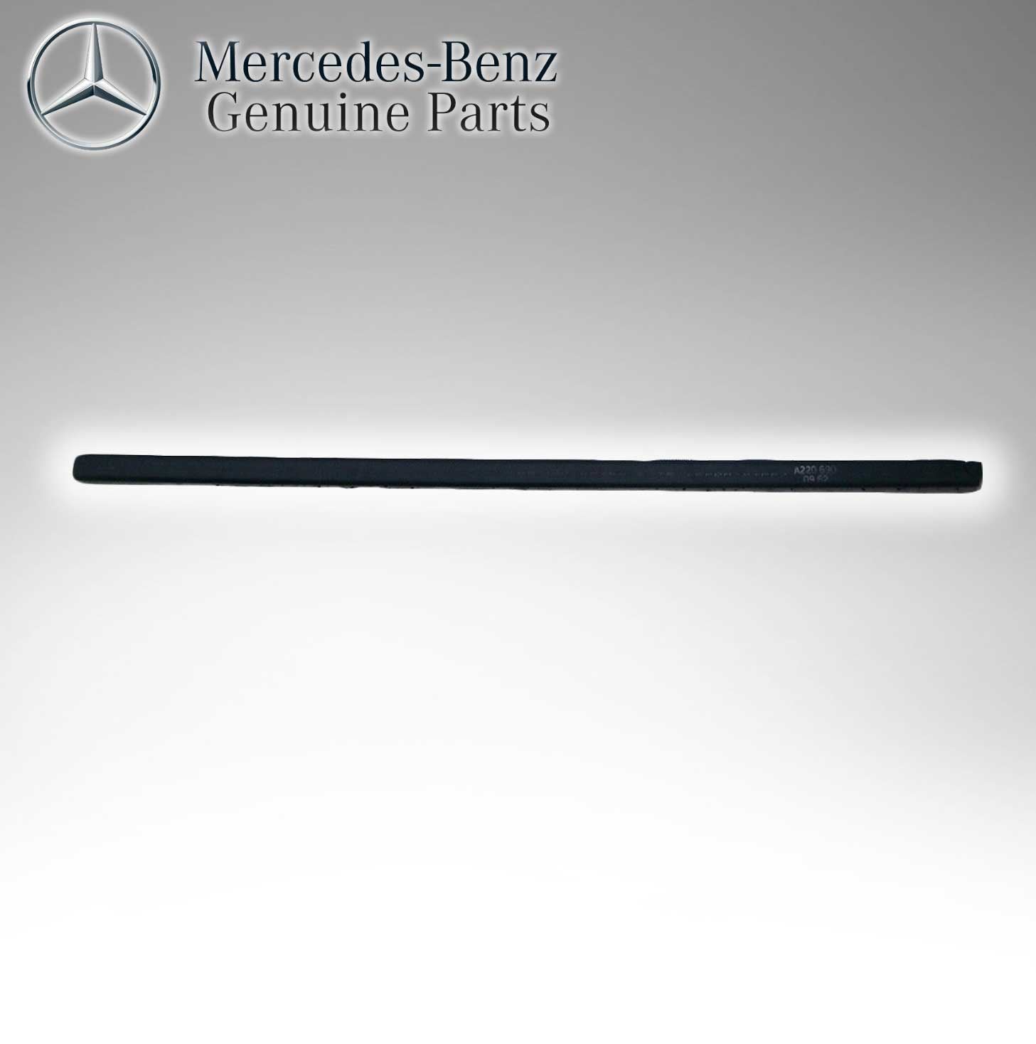Mercedes Benz Genuine Bumper Molding 2206900962